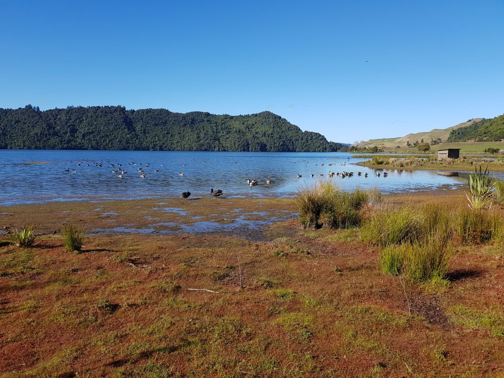 Okareka Lake in Neuseeland